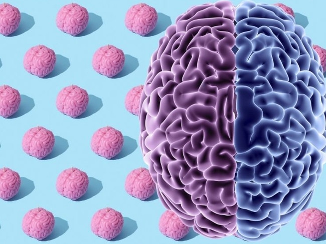 cortisol pill may halt dementia
