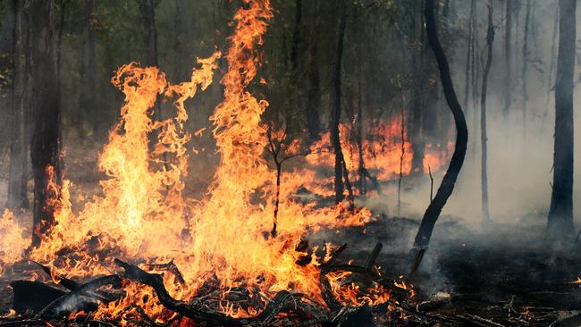 A man will face court over alleged fraudulent bushfire claims.