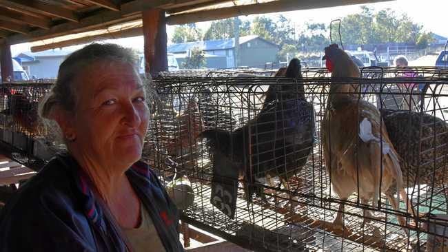 SAYING GOODBYE: Barbara Hourigan with her much-loved roosters. Picture: Chris Lines