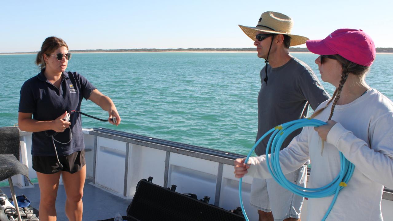 Huge discovery off SA holiday hot spot stuns researchers