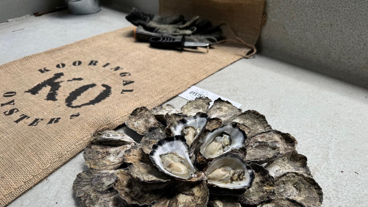 Dozens of Kooringal oysters from the farm.
