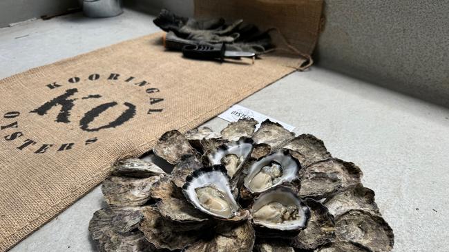 Dozens of Kooringal oysters from the farm.