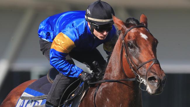 Santa Ana Lane will be shooting for back-to-back TJ Smith Stakes wins at Royal Randwick on Saturday. Picture: Getty Images