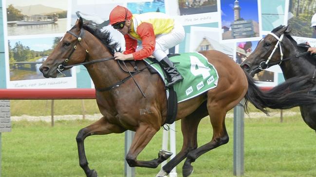 Quire is primed to hit winning form at Goulburn on Friday. Picture: Bradley Photos