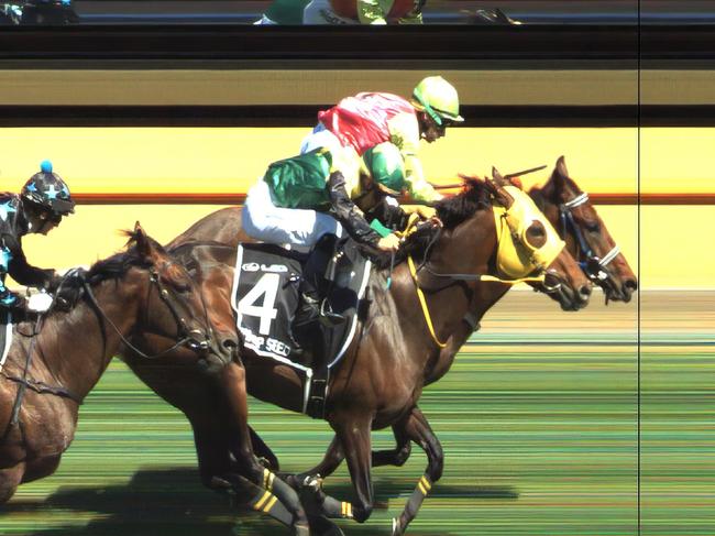 Knights Choice wins a photo finish from Warp Speed.