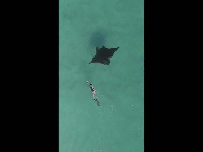 Aussie snorkeler swims with manta ray in crystal-clear WA waters