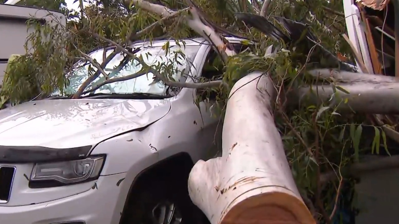 Clean-up begins on Gold Coast after storms