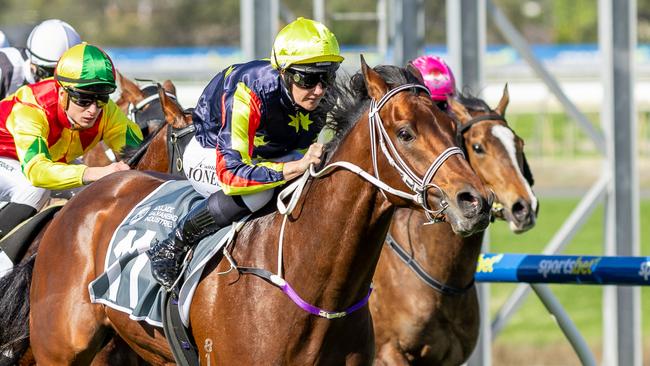 Goldrush Guru scores a win at Morphettville Parks on Saturday. Picture: Makoto Kaneko