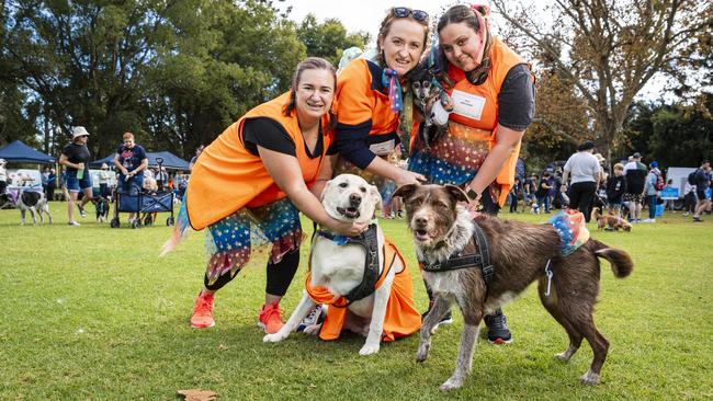 Members of team Fibre Power (from left) Aleisha Bassingthwaighte with Tiny, Aleisha Symonds with Mya (front) and Melaine Alush holding Mani are ready for Toowoomba's Million Paws Walk at Queens Park, Friday, May 24, 2024. Picture: Kevin Farmer