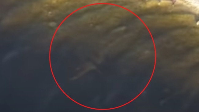 'Nessie' was spotted near the banks of the loch. Credit: YouTube/Richard Outdoors