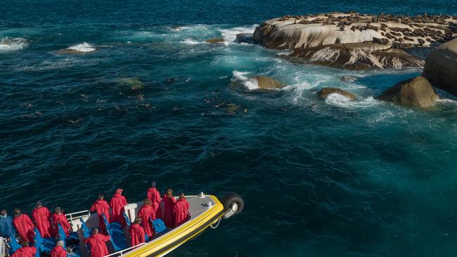 Travel along Gippsland’s rugged coast with Pennicott Wilderness Journeys.