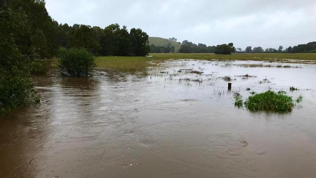 Wingecarribee River is swollen at the Sproules Lane bridge in Glenquarry on March 2, 2022. Picture: Phillip Minnis