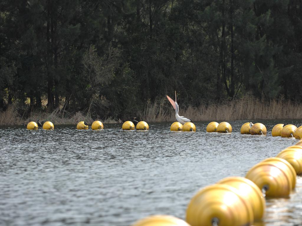 The warning buoys that used were washed away in last year’s floods.