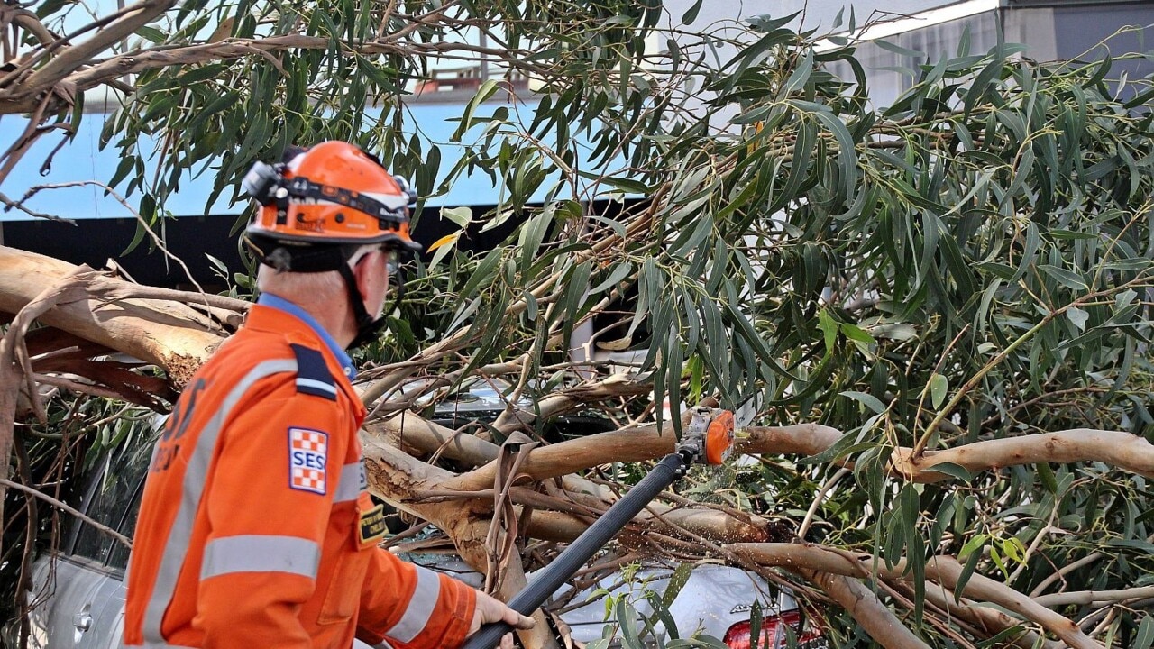 Boy, 4, one of three people killed in Melbourne storms overnight