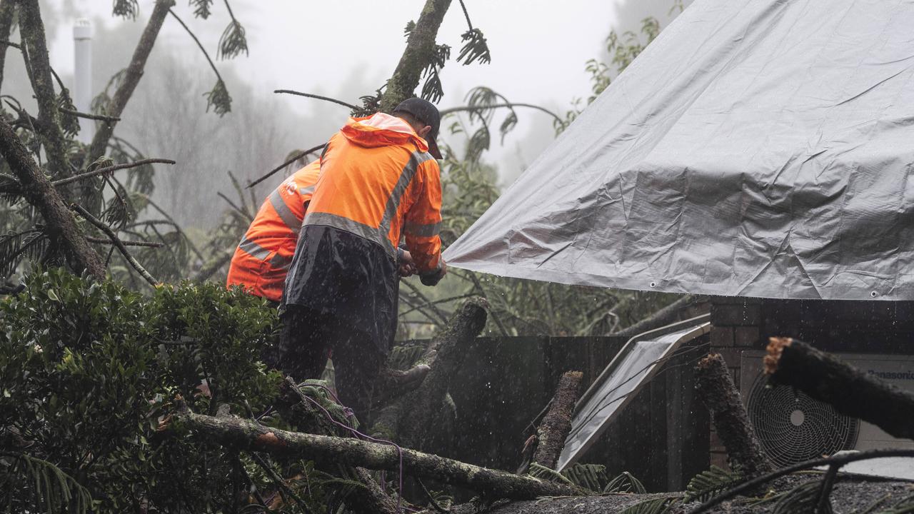 Tree smashes through house, motel in ex-TC wind gusts