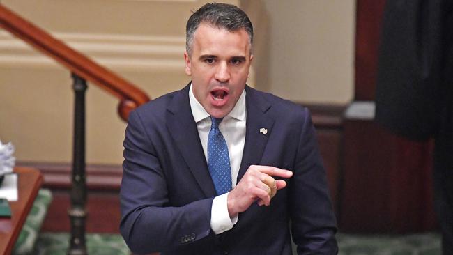 Leader of the Opposition Peter Malinauskas. Picture: Tom Huntley