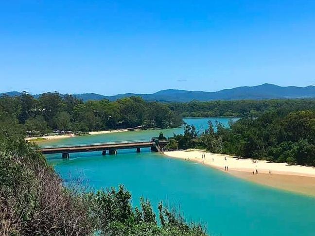 Boambee Creek Reserve, snapped by Tammy Osborne.