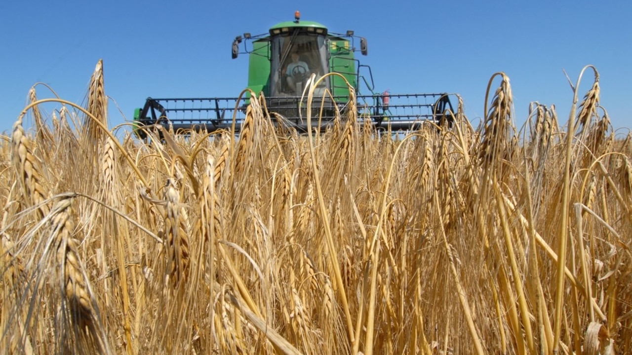 Barley prices surge after China scraps trade tariffs