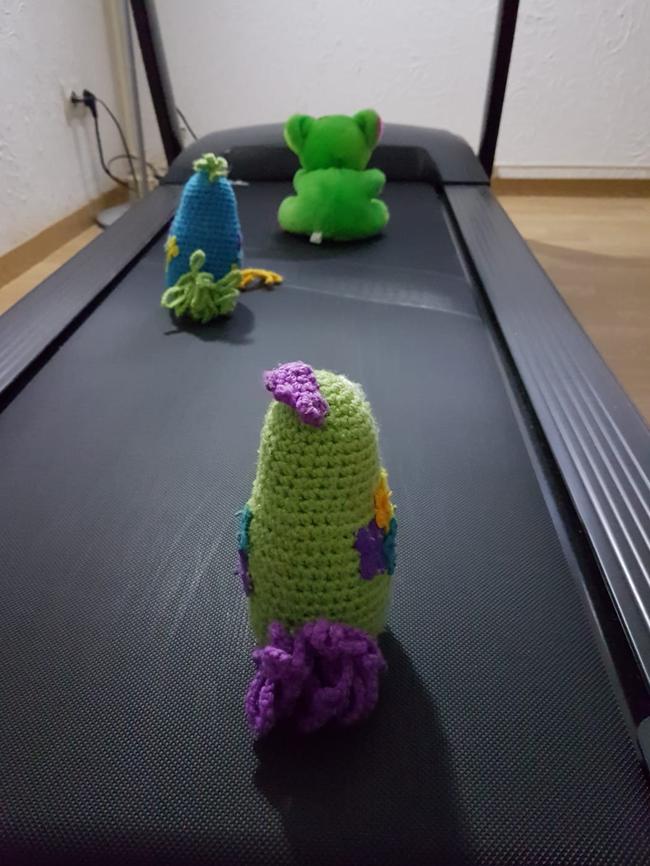 Sloan (blue) and FluffnStuff (green) and another visiting guest stay fit in France while waiting for the global lockdowns to be lifted. Picture: Peluche Travel/Facebook