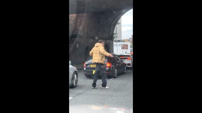 Good samaritan stops traffic to help family of geese cross the road ...