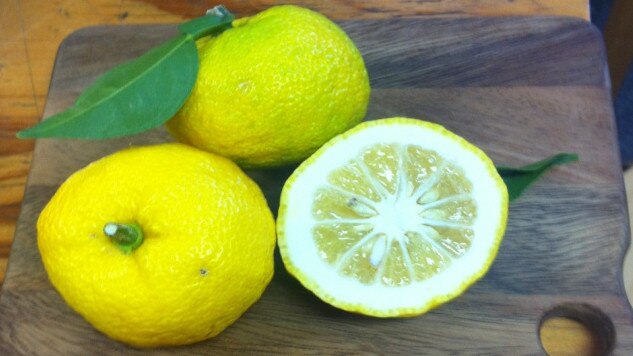 Ingredient du jour: a yuzu fruit