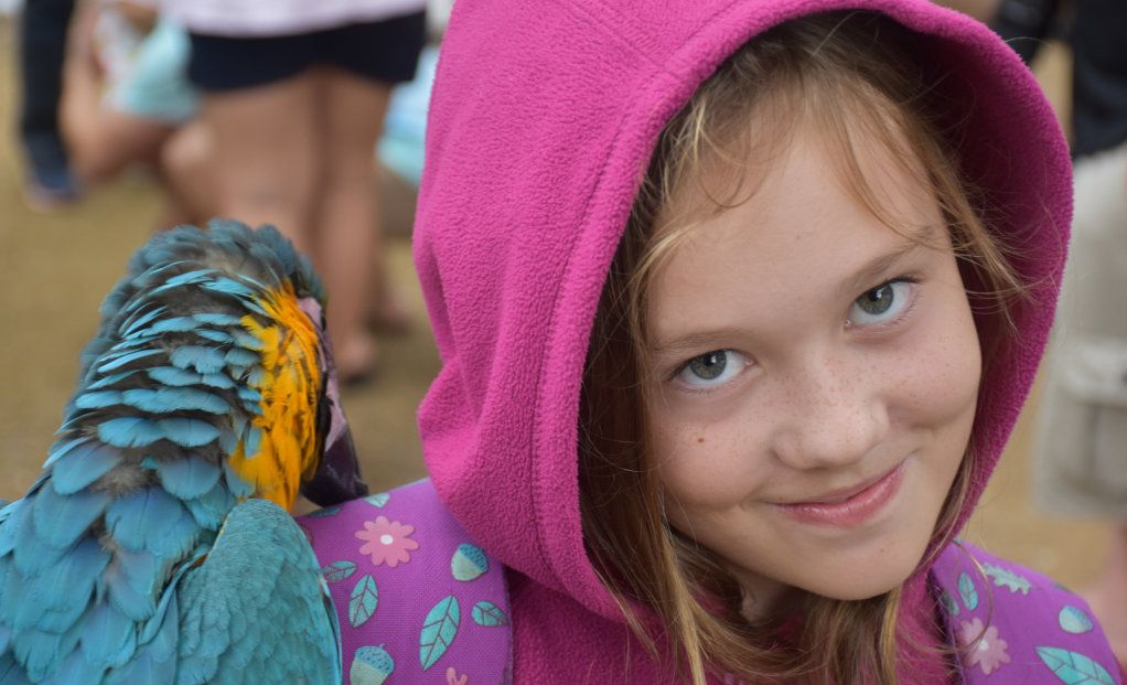 Getting up close with the birds at Maleny Botanic Gardens and Bird World. Picture: Mark Furler