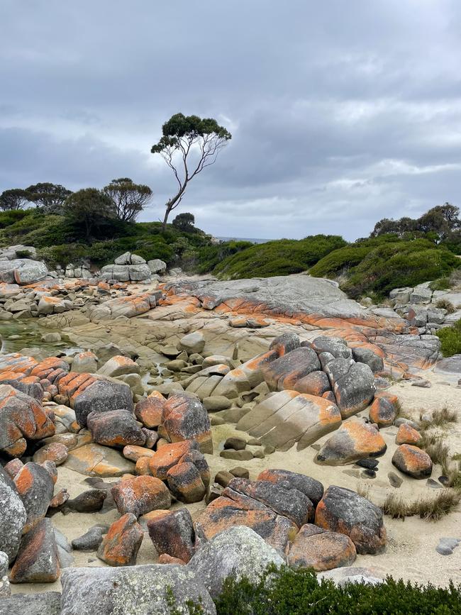 The famous red rocks at Bay of Fires. Picture: Jenine McLaren. Your Focus on Tasmania **ONE TIME USE ONLY**