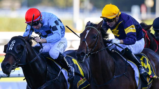 The Sydney autumn carnival was conducted in front of no crowds and only essential workers on-course on raceday. Picture: AAP