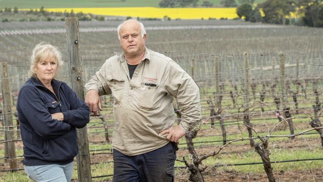 Landowner and farmer Claire Tuohey with Colbinabbin Estate Wine farm manager Colin Neate who's residence is within 150m from the proposed project site. Picture: Zoe Phillips