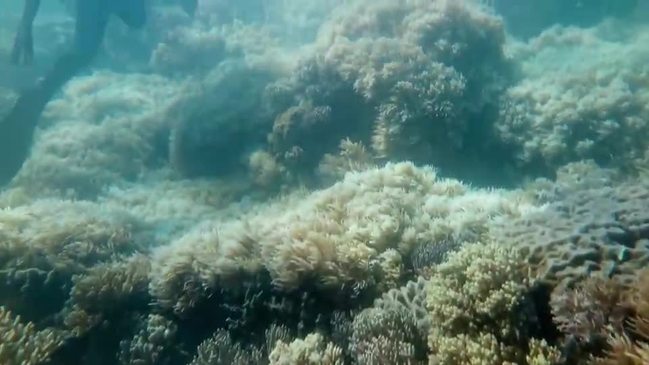 Great Barrier Reef