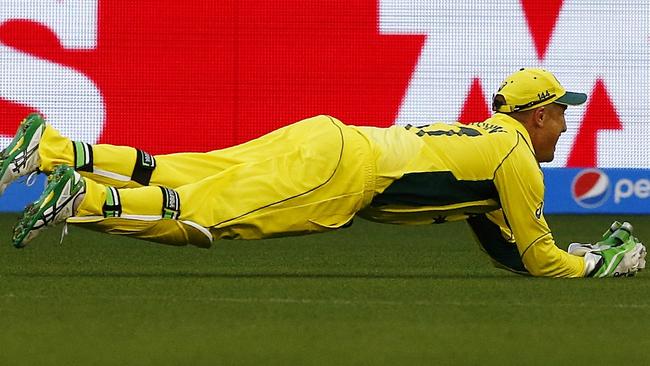 Nevill would love to replace Brad Haddin (pictured) but knows he has to keep his feet on the ground. Picture: Wayne Ludbey