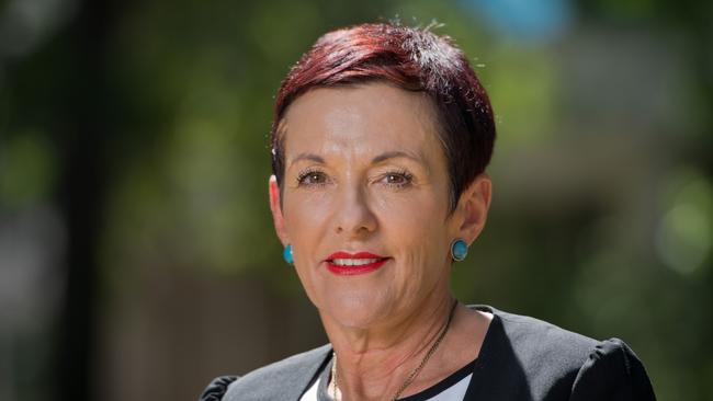 Australian Small Business and Family Enterprise Ombudsman Kate Carnell will say the government should provide small business with a special industrial award. Picture: Kym Smith