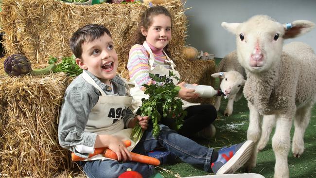 Royal Adelaide Show - Zara Coleiro,7, and her brother Hugo, 4, got to meet Lambs, Roy and Aggie, in the AggieÃ¢â¬â¢s farm area at the show. (Lauren Coleiro 0401956655) . 23 August 2023. Picture Dean Martin