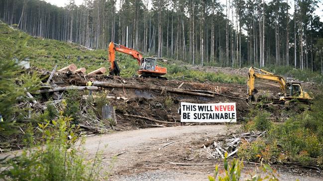 Forest Conservation Victoria protests in native forests after Andrews Government announced a 2030 end-date for native timber logging.