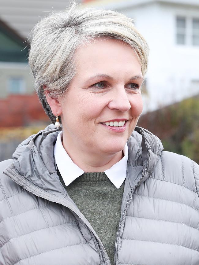 Federal Environment Minister Tanya Plibersek in Hobart. Picture: Nikki Davis-Jones