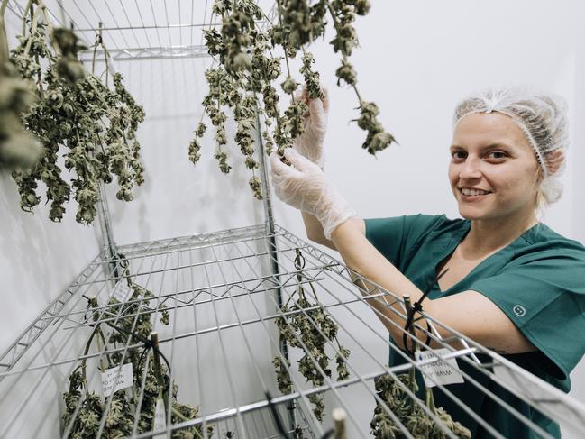 Rebecca Caerels believes her experience dealing with oils and waxing while previously employed in the beauty industry has been beneficial when it comes to extracting oil from harvested cannabis.