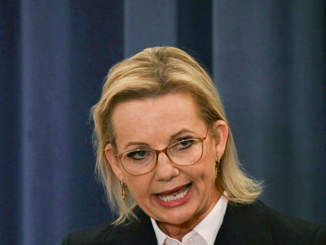 Australiaâs Leader of the Opposition Sussan Ley speaks at a press conference at Parliament House in Canberra on May 13, 2025. (Photo by Saeed KHAN / AFP)