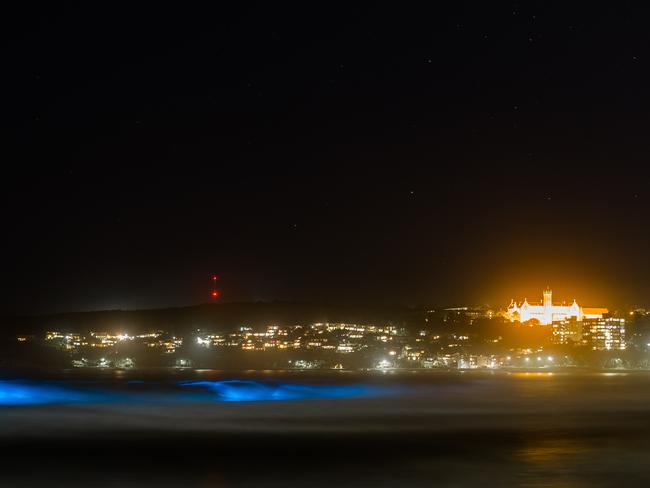 ONE-TIME USE ONLY: Bio luminescence in Manly on Sunday. Picture: Joel Coleman of Saltmotion Gallery