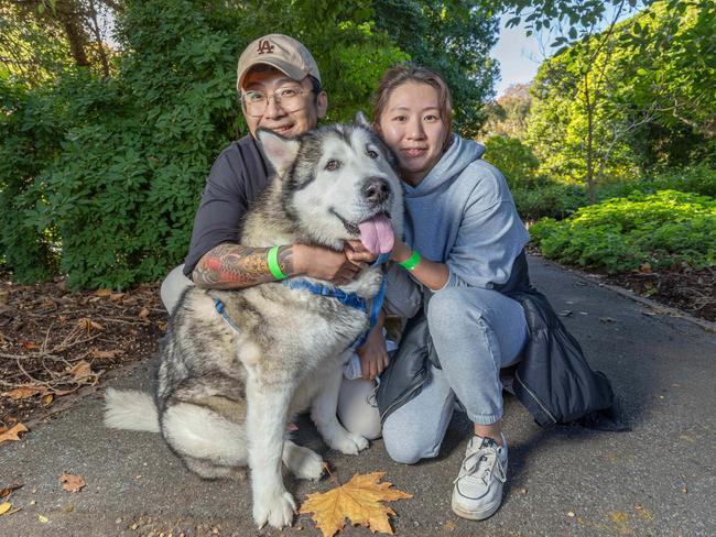 RSPCA SA's Million Paws Walk in Adelaide on May 25, 2025. Picture: Ben Clark