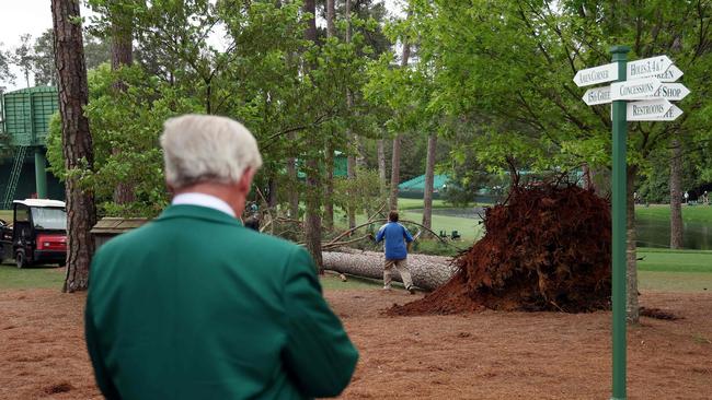 An Augusta National Golf Club member looks over a fallen tree on the 17th hole. Picture: AFP