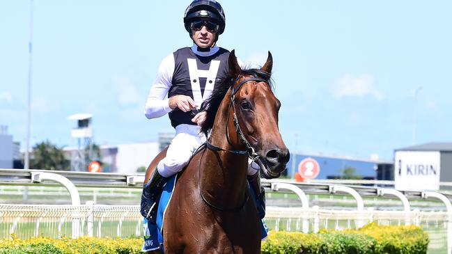 Michael Rodd brings Garibaldi back to scale after winning at Doomben. Picture: Trackside Photography