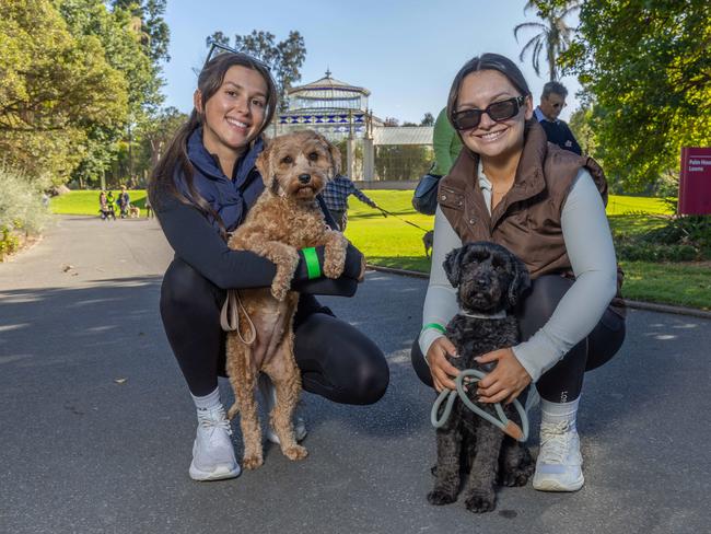 RSPCA SA's Million Paws Walk in Adelaide on May 25, 2025. Picture: Ben Clark