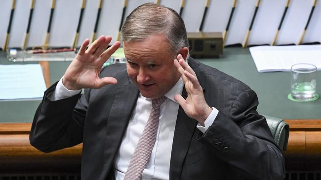 Opposition Leader Anthony Albanese in Question Time. Picture: AAP