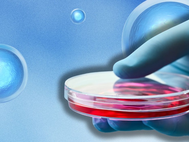 Eggs are being grown in a stem cell culture outside the body.