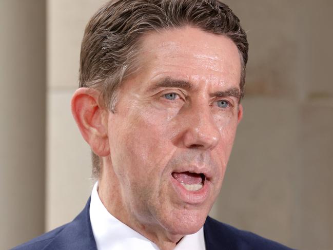 Cameron Dick, the Deputy Leader of the Opposition speaks, Parliament House, Porte Cochere, Wednesday 4th December 2024 - Photo Steve Pohlner