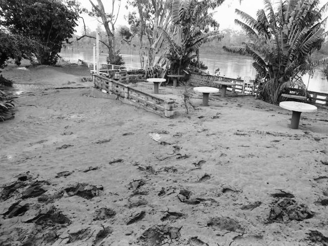 General flooding in Brisbane