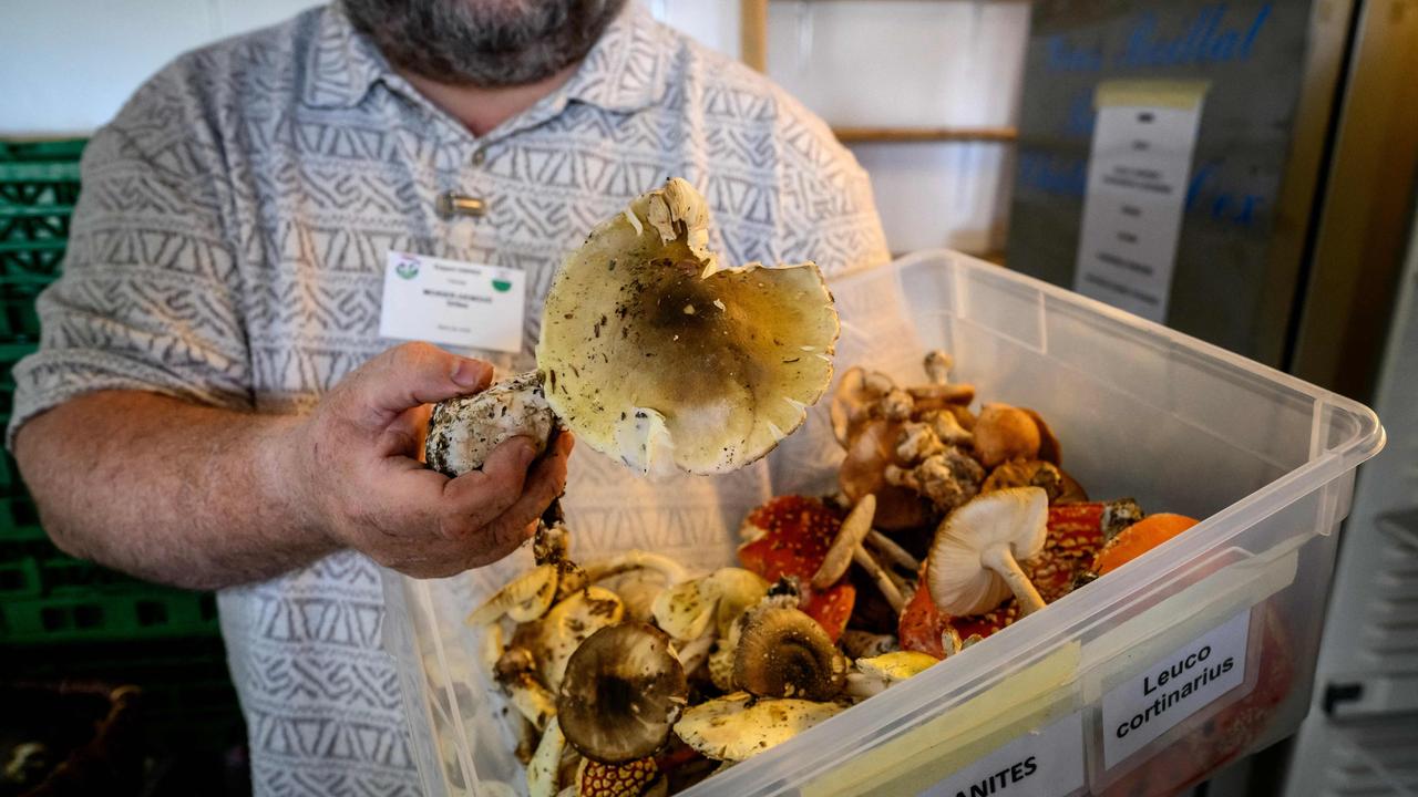 Warning after woman’s tragic mushroom death