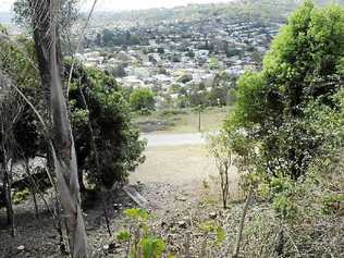 A Belvedere St resident was fined $15, 000 for clearing trees without permission. Picture: Doug Eaton