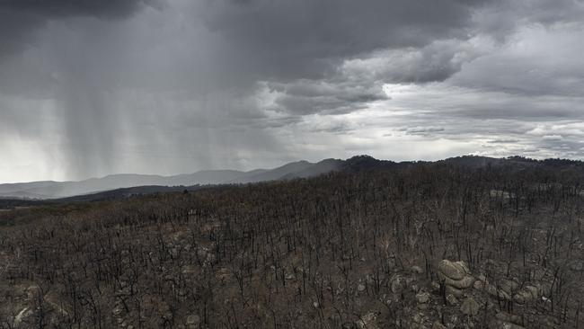 An aerial view as rain begins to fall on drought and fire-ravaged country near Tamworth ahead of predicted further wet weather across NSW and Victoria this week. Photo: Brook Mitchell/Getty Images