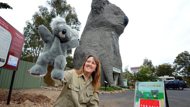 The Giant Koala at Dadswells Bridge is up For Sale. Rated as Australia's best big thing, the fibreglass marsupial stands about three stories high. Owners Rob and Julie-Anne McPherson are looking to move on to a new business venture. Julie-Anne holds up a smaller koala from the gift shop.